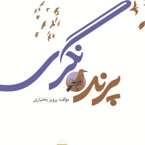 پرنده نگری