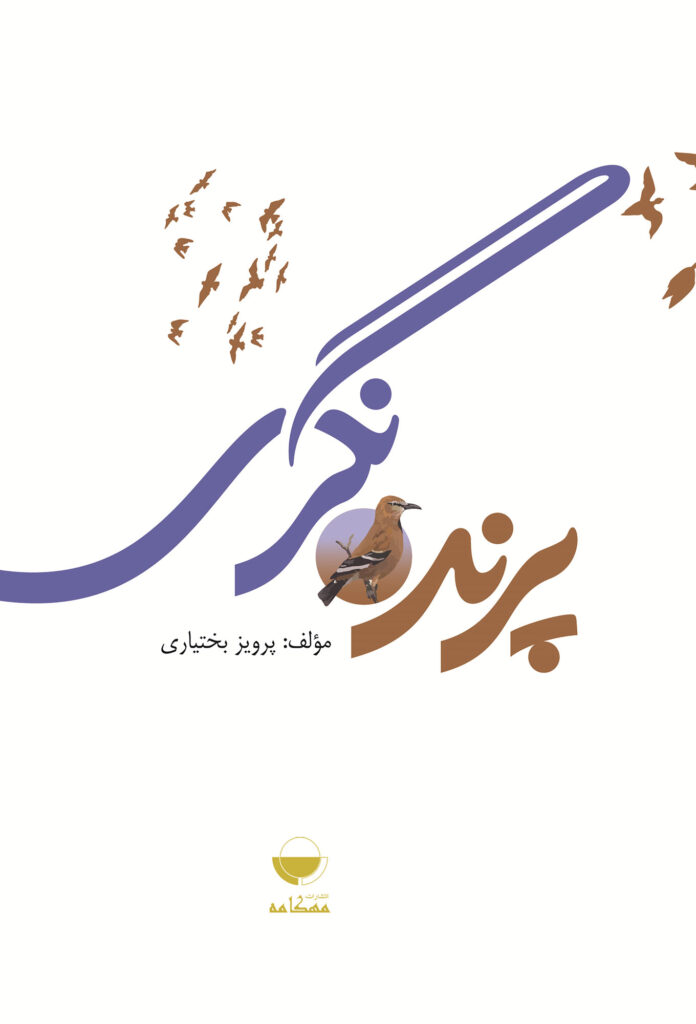پرنده نگری